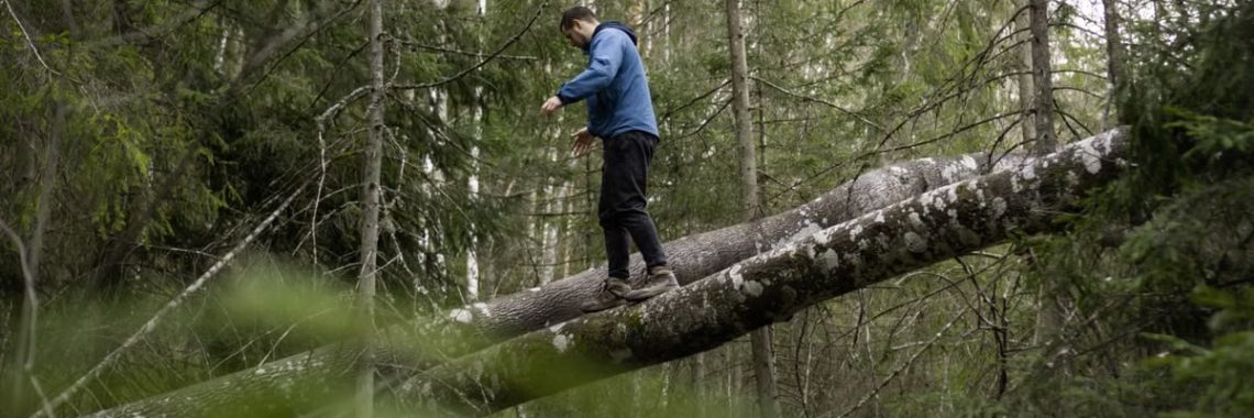 From below side view of anonymous male in casual wear strolling on shabby tree trunks in green woods
